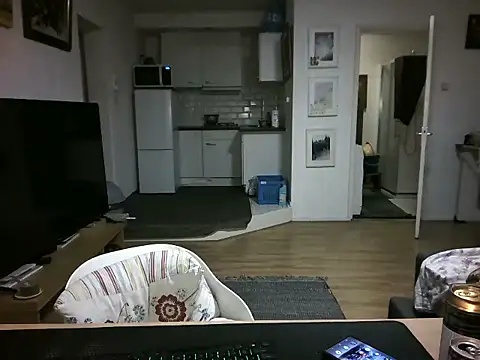 mihaimichael online show from April 29, 2026, 8:04 pm