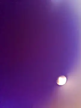 Snapshot of Pay2play1 chatting on October 21, 2025, 2:00 am Pay2play1 online show from October 21, 2025, 2:00 am