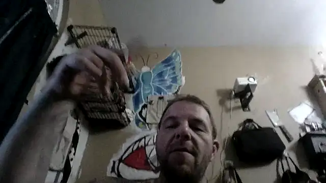 Snapshot of Pay2play1 chatting on March 9, 2025, 6:43 pm Pay2play1 online show from March 9, 2025, 6:43 pm