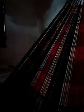 PIKAdePAU27 online show from December 24, 2024, 8:33 am