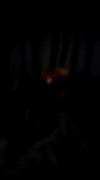 bogbosdick online show from February 22, 2025, 3:12 am