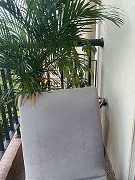 Snapshot of Pretty_Isadora chatting on March 4, 2026, 4:59 pm Pretty Isadora online show from March 4, 2026, 4:59 pm