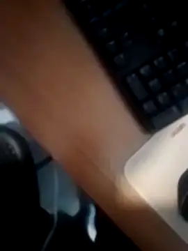 betinhodelas online show from December 26, 2024, 2:16 pm