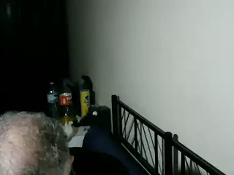 100Tauros online show from February 5, 2026, 10:38 pm