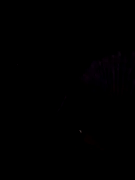 StaciGoodman online show from February 1, 2025, 1:44 am