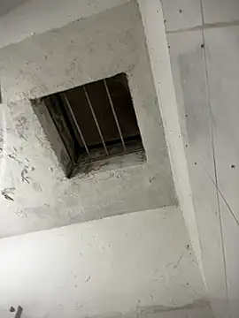 culitotragon24 online show from February 11, 2026, 7:08 am