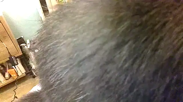 Bigloggz online show from March 23, 2026, 2:33 am