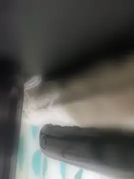 BigRastaFire online show from April 26, 2026, 8:44 am