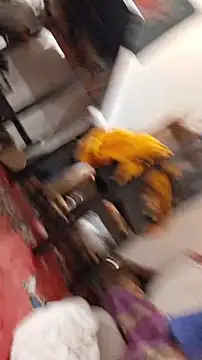 Snapshot of emma_neko chatting on November 22, 2025, 6:40 pm emma neko online show from November 22, 2025, 6:40 pm