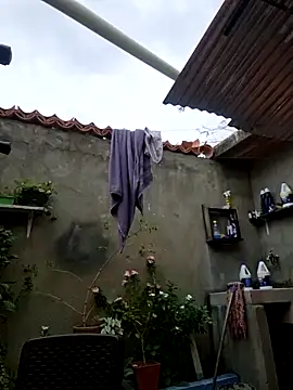 room 24funn online show from December 19, 2025, 3:14 pm