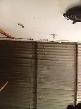 Andreita 95 online show from January 15, 2026, 2:09 pm