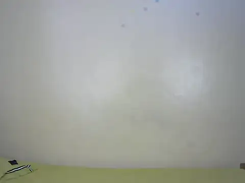 Snapshot of StarBarbiee chatting on November 15, 2025, 10:08 am StarBarbiee online show from November 15, 2025, 10:08 am