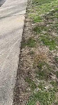 Snapshot of Esauhot chatting on February 25, 2025, 7:06 pm Esauhot online show from February 25, 2025, 7:06 pm