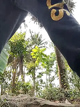 Snapshot of rayhan085 chatting on March 19, 2025, 8:23 am rayhan085 online show from March 19, 2025, 8:23 am