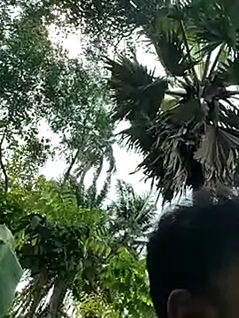 Snapshot of rayhan085 chatting on March 21, 2025, 7:22 am rayhan085 online show from March 21, 2025, 7:22 am