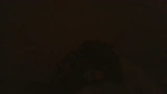 iaradias online show from December 2, 2025, 12:18 pm