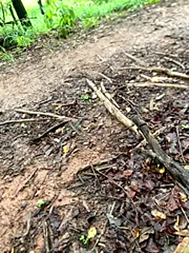 Maurob18 online show from November 2, 2025, 11:26 am