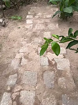 king cum  online show from February 18, 2026, 2:24 pm