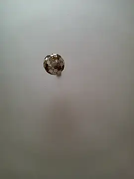 Snapshot of JulianJ50 chatting on November 12, 2025, 2:32 pm JulianJ50 online show from November 12, 2025, 2:32 pm