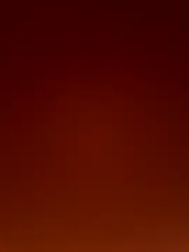 Wild wifey online show from December 2, 2025, 5:14 pm