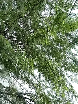 gaysexfun 123 online show from December 20, 2025, 7:00 am