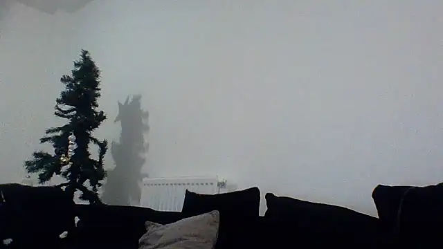 Cinderella Jewels  online show from December 22, 2025, 2:01 am