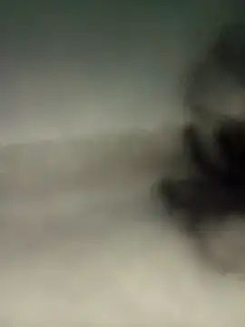 alexmoragomez online show from April 20, 2026, 12:46 am