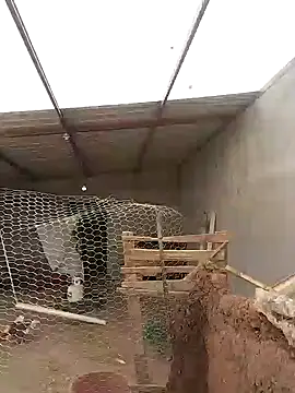 Rober2230 online show from January 12, 2025, 7:53 pm