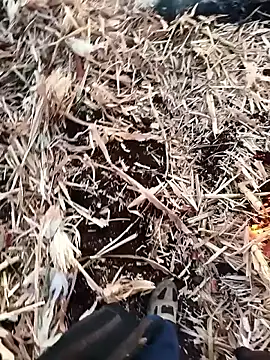 murokkk31 online show from November 27, 2025, 4:02 am