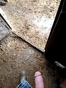 murokkk31 online show from January 9, 2026, 7:26 am