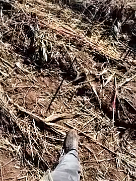 murokkk31 online show from December 14, 2025, 8:42 am