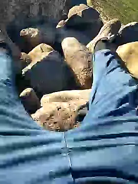 murokkk31 online show from January 10, 2025, 7:46 am