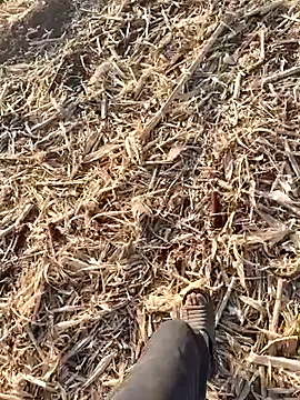 murokkk31 online show from September 30, 2025, 1:50 pm