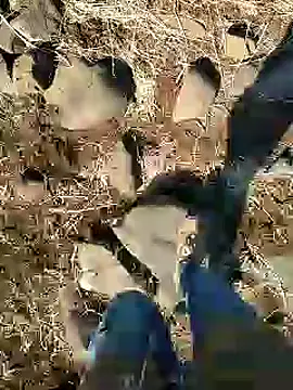 murokkk31 online show from January 25, 2025, 9:15 am