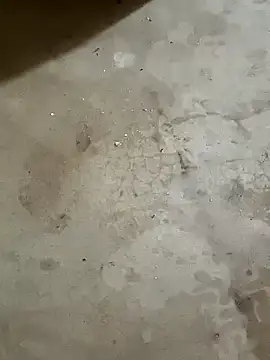 samriyat online show from October 22, 2025, 4:45 am