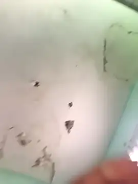 diegocc271 online show from April 21, 2026, 5:30 pm