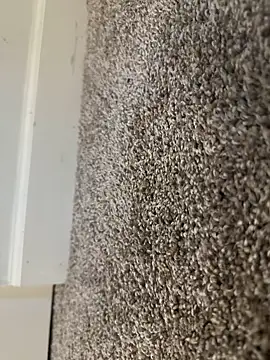 Snapshot of Big-dick_1 chatting on December 15, 2024, 3:20 pm Big-dick 1 online show from December 15, 2024, 3:20 pm