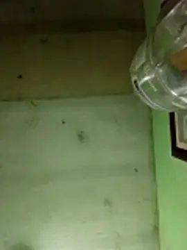 Alonsomadeira online show from December 17, 2025, 6:07 am