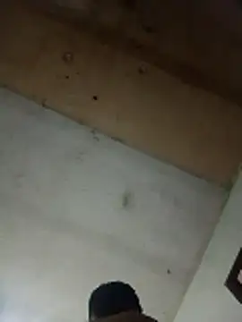 Alonsomadeira online show from April 10, 2026, 9:27 am