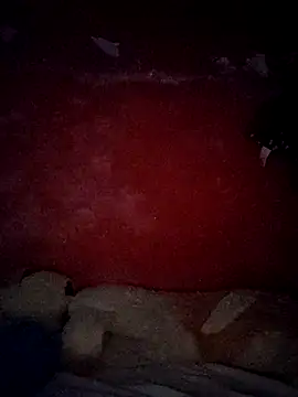 VL25DN26 online show from October 30, 2025, 9:29 am