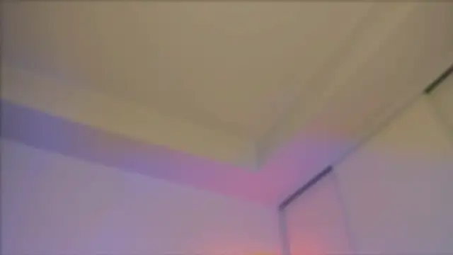  cherry bloss  online show from September 22, 2025, 2:28 am