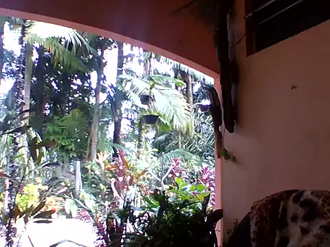 sellvageria online show from October 4, 2025, 12:39 pm