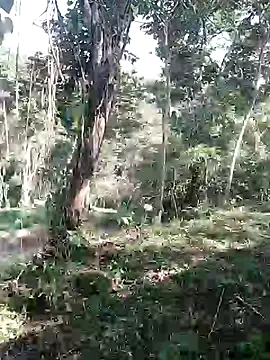 Snapshot of andreu_mature chatting on February 11, 2026, 8:31 pm andreu mature online show from February 11, 2026, 8:31 pm