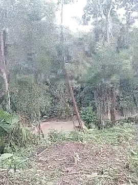 andreu mature online show from March 26, 2026, 11:02 pm