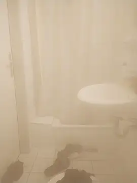 Snapshot of Luukas5239 chatting on February 10, 2025, 6:56 pm Luukas5239 online show from February 10, 2025, 6:56 pm