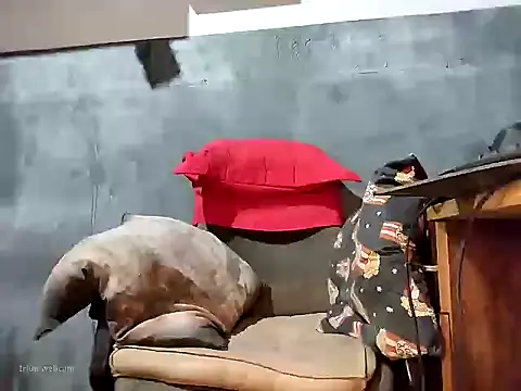 bumbumtatuado online show from January 13, 2026, 2:26 am