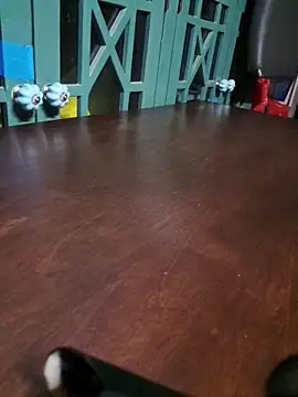 bigdickdaddy2184 online show from December 16, 2025, 9:35 am