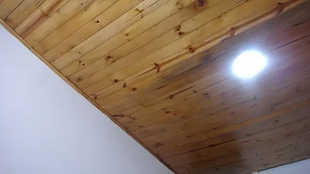 Snapshot of antonella_sweetlittle chatting on September 25, 2025, 12:22 pm antonella sweetlittle online show from September 25, 2025, 12:22 pm