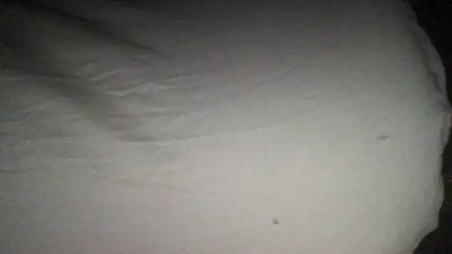 Snapshot of loveofbea chatting on September 11, 2025, 12:49 pm loveofbea online show from September 11, 2025, 12:49 pm