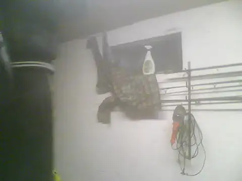 Rejtelmesest online show from February 22, 2025, 5:24 pm